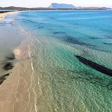 فندق La Tartaruga Con Piscina